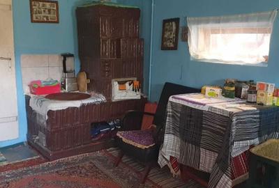 Casă cu 3 camere în Lipia