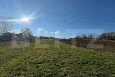 Teren de 2700 mp, în Cozia - 1