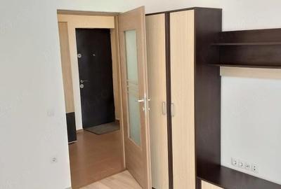 Garsonieră decomandată în Turnișor - 10