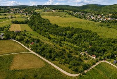 Teren Construcții extravilan de 4500 mp, în Exterior Est - 1