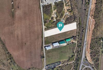 Teren cu PUZ de 7845 mp Jud. Ilfov, Ca?elu - 2