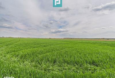 Teren de 19900 mp, în Moșnița Nouă - 1