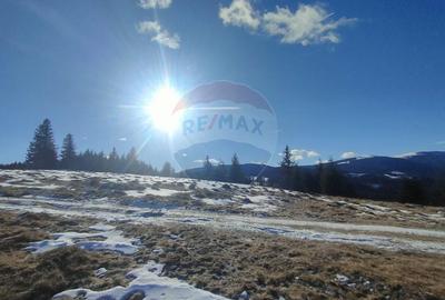 Teren agricol extravilan de 5609 mp, în Gura Râului - 8