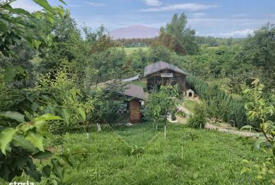 Casă cu 3 camere cu Teren 1268 Mp în Săpânța - 18