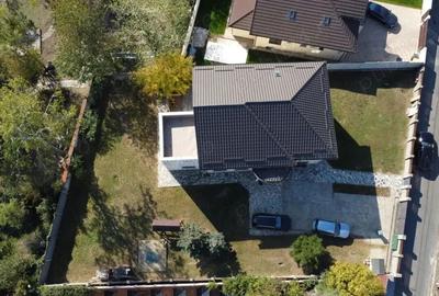 Vila Mogosoaia la padure si DN. - 8