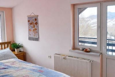 Teren de 17500 mp, în Tazlău - 8