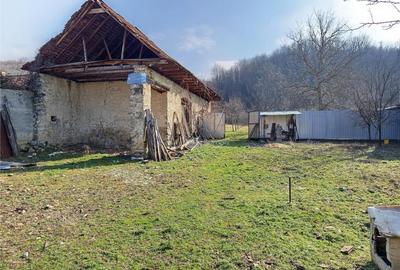 Ciclova, Teren Intravilan, Centru, Pret Negociabil - 20