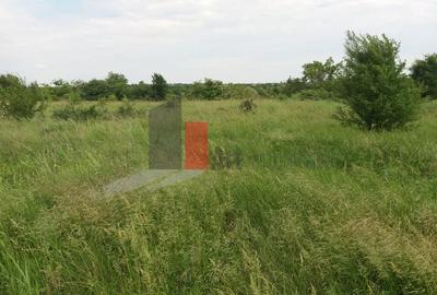 Teren Buftea cu iesire la lac - 19