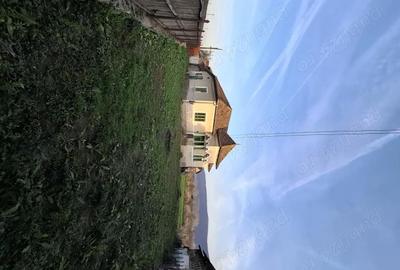 Casă cu Teren 4443 Mp în Pleșoiu (Nicolae Bălcescu) - 8