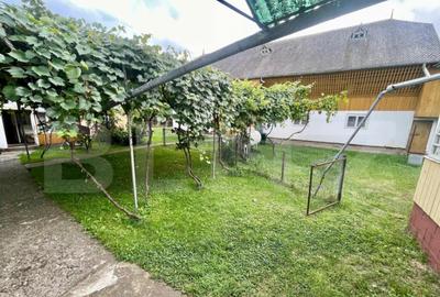 Casa + Teren Intravilan 4000 mp - Boroaia - 1