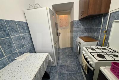Apartament cu 2 camere semidecomandat, mobilat în Dacia - 6