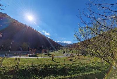 Apartament 2 camere open space - Tampa Gardens - 13