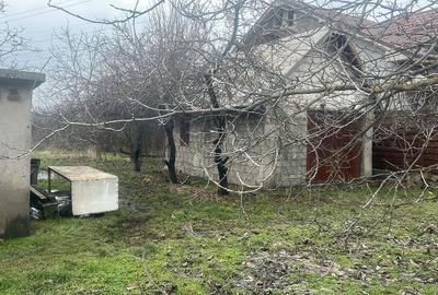 Teren de 5000 mp, în Nord - 3