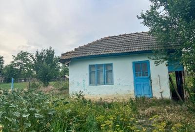 Teren de 855 mp, în Perieni - 2