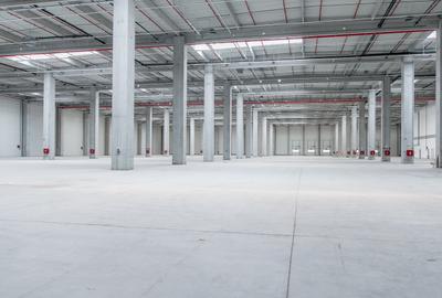 Depozit Hala Autorizata ISU 600 mp -15000 mp Depozit Hala Autorizata ISU 600 mp -15000 mp - 3