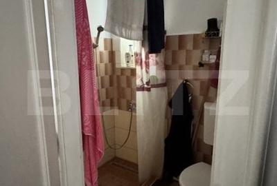 Apartament cu 3 camere, 73 mp utili + 67 mp curte, zona Bd. 21 Decembrie - 10