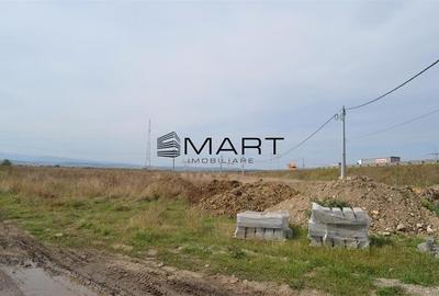 Teren Construcții intravilan de 6500 mp, în Veterani - 3