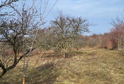 Teren de 4300 mp, în Central - 5