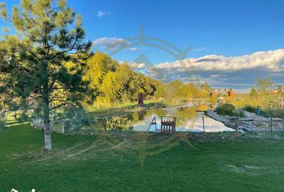 Casă cu 9 camere cu Piscina în Grădiștea - 7