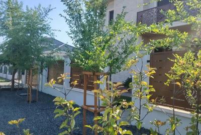 Sacalaz - casa de vanzare - 11