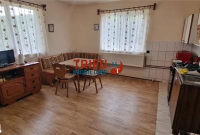 Casă cu 3 camere cu Teren 1338 Mp în Meteș - 3