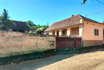 Casă cu 2 camere în Băcăinți - 3