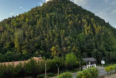 Apartament 2 camere cu priveli?te superba Bld. Dacia, Piatra Neam? 50 m utili | Semidecomandat