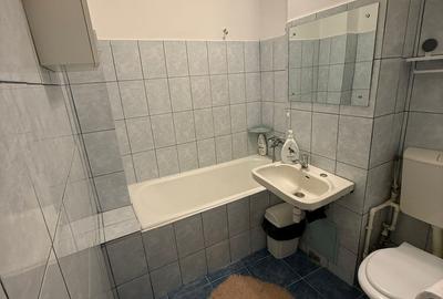 Garsonieră decomandată, mobilată în Dristor - 3