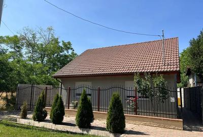 Vand casa Timi?oara - 1
