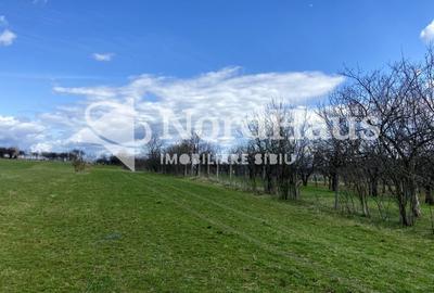 Teren agricol extravilan de 1494 mp, în Rășinari - 1