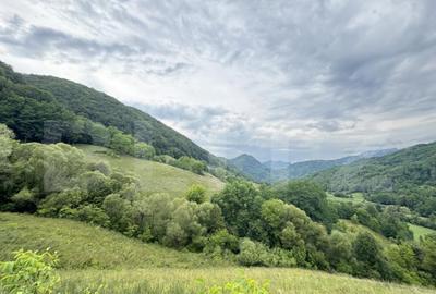 Teren extravilan 23.376 mp, in apropiere de Brad Teren extravilan 23.376 mp, in apropiere de Brad - 7