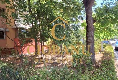 Apartament 2 camere de inchiriat zona Brazda lui Novac - 4