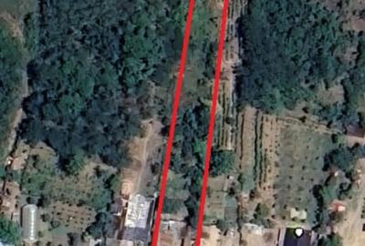 Casă cu 4 camere cu Teren 1700 Mp în Argetoaia - 1