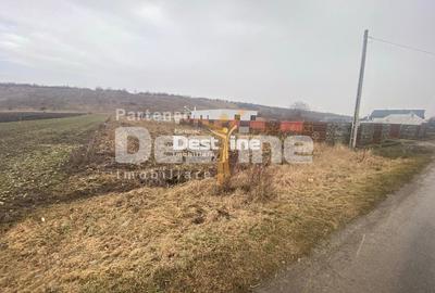 Teren Construcții intravilan de 3200 mp, în Girov - 4