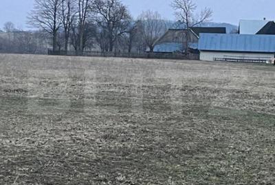 Teren de 27759 mp, în Horodnic - 2