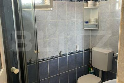 Casa spatioasa de vanzare in Rasinari, Sibiu - 4 camere, pivnita, demisol, curte - 12
