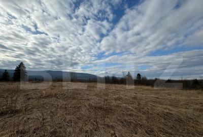 Teren intravilan, Hardic , cu proiect pentru accesare de fon - 18