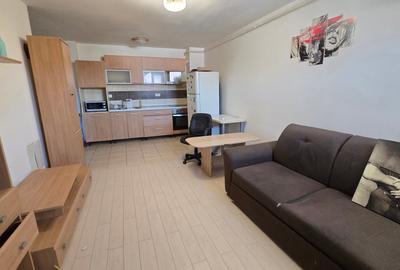 Apartament cu 2 camere decomandat, mobilat în Roșu - 10
