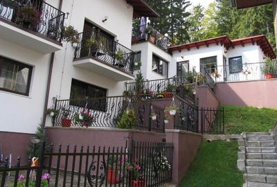 Sinaia-Central,Pensiune de vanzare-21 camere - 5