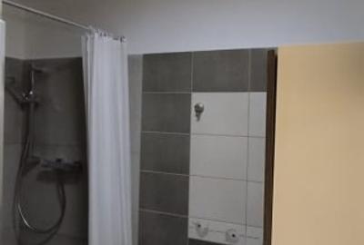Garsonieră semidecomandată, mobilată în Grozăvești - 6