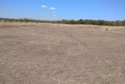 Teren de 800 mp, în Central - 1