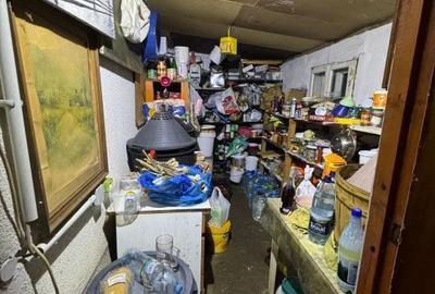 Casă cu 3 camere decomandat cu Teren 800 Mp în Satu Nou de Sus - 6