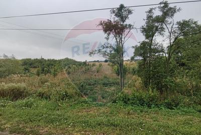 Teren Construcții intravilan de 2341 mp, în Uileacu de Munte - 12