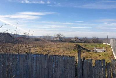 Teren intravilan 2027 mp - Bere?ti-Meria, Sat Plesa, jud. Galati - 2