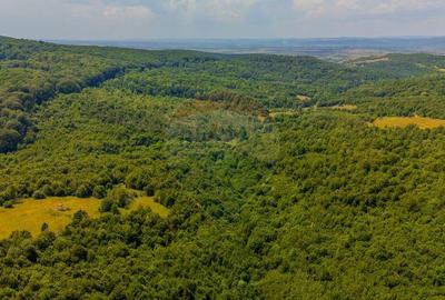 COMISION 0% Teren Grid/Inima Naturii/ Oportunitate de inv... - 10