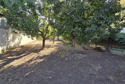 Teren 717mp Nord Baneasa Dobrogeanu Gherea Sisesti Ionescu de la Brad - 7