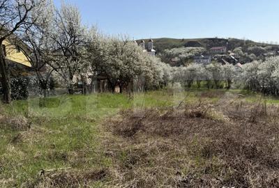 Teren în Crișeni - 1