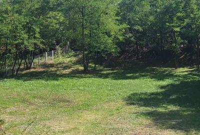 Teren de 3231 mp, în Milcoiu