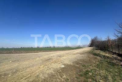 Teren intravilan 2000 mp cu utilitati in apropiere Comuna Dragus - 4