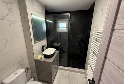 Apartament cu 2 camere în Brazda lui Novac